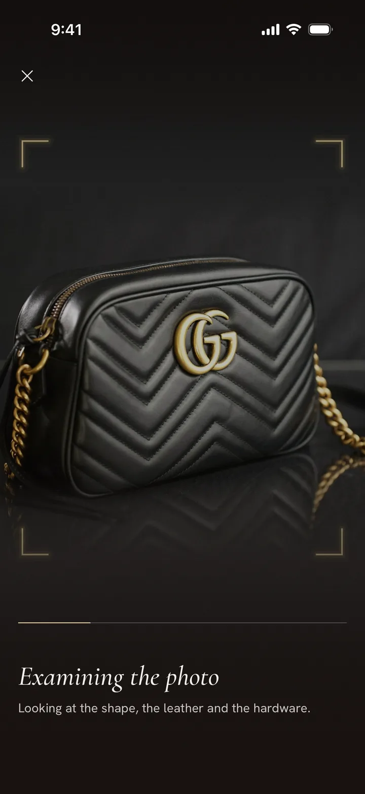 Examining the photo: the shape, the leather and the hardware.